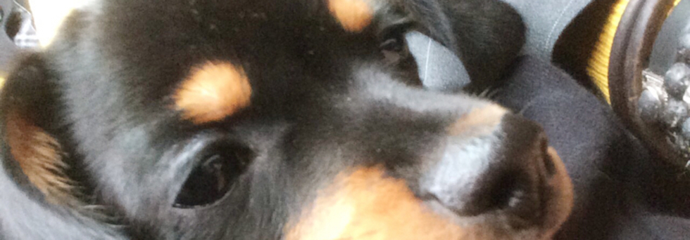 レビュアーのカバー画像