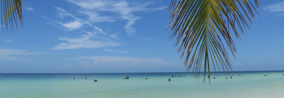 レビュアーのカバー画像