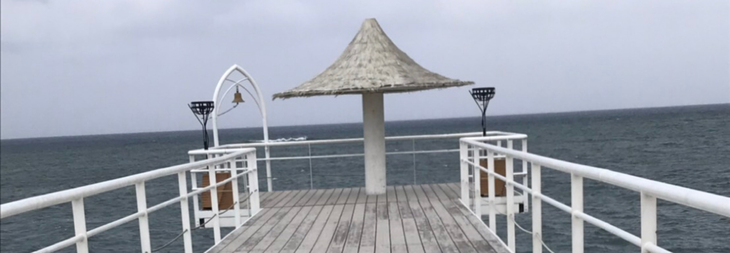 レビュアーのカバー画像