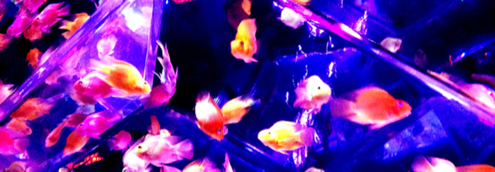 レビュアーのカバー画像