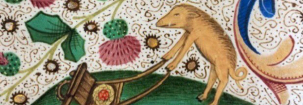 レビュアーのカバー画像