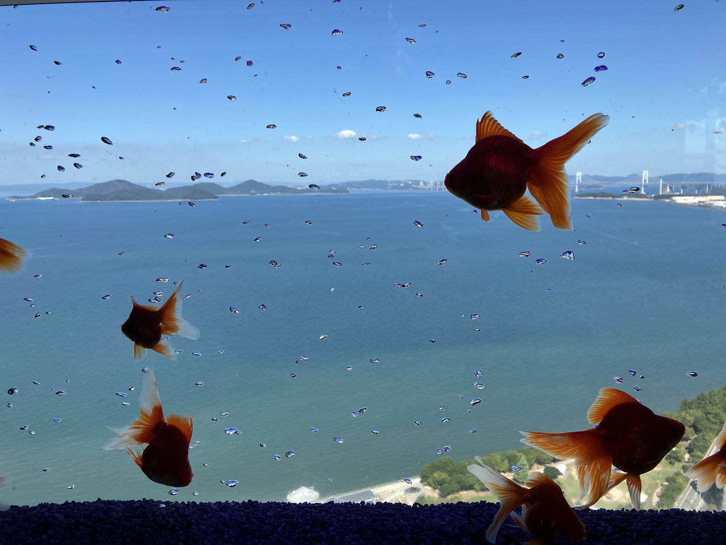 レビュアーのカバー画像