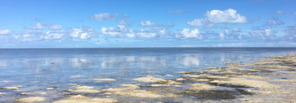 レビュアーのカバー画像