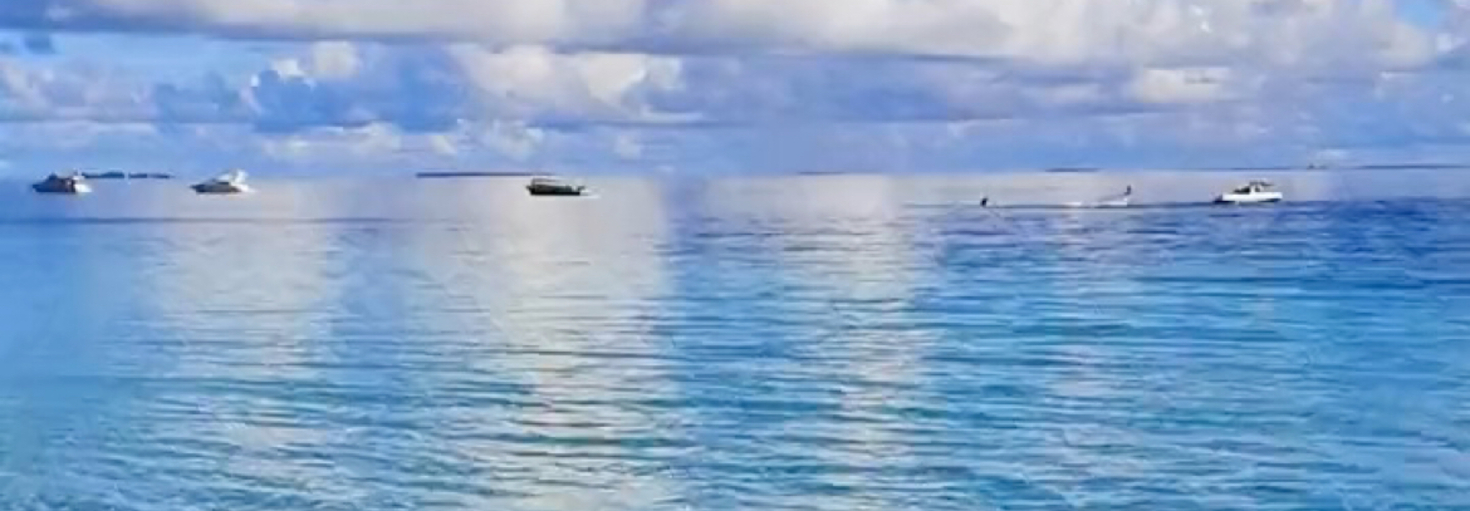 レビュアーのカバー画像