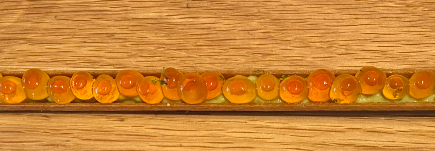 レビュアーのカバー画像