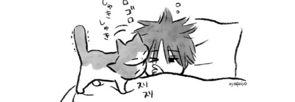 レビュアーのカバー画像