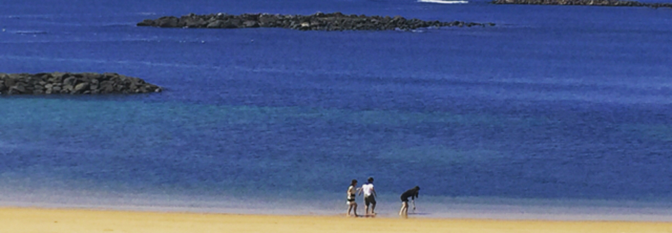 レビュアーのカバー画像