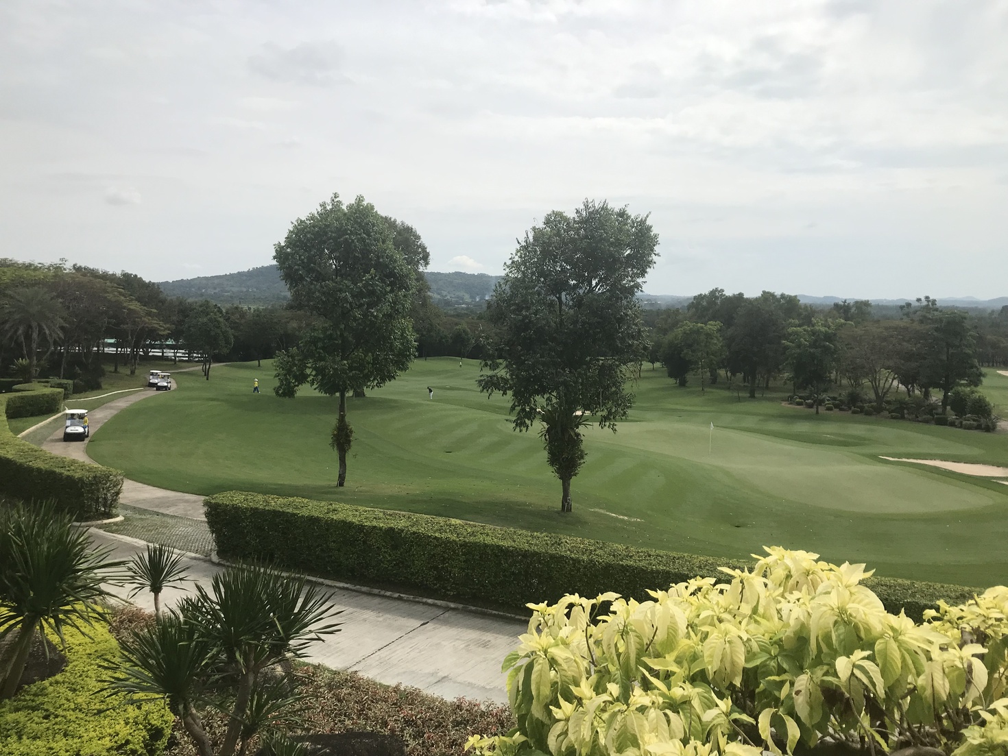 レビュアーのカバー画像