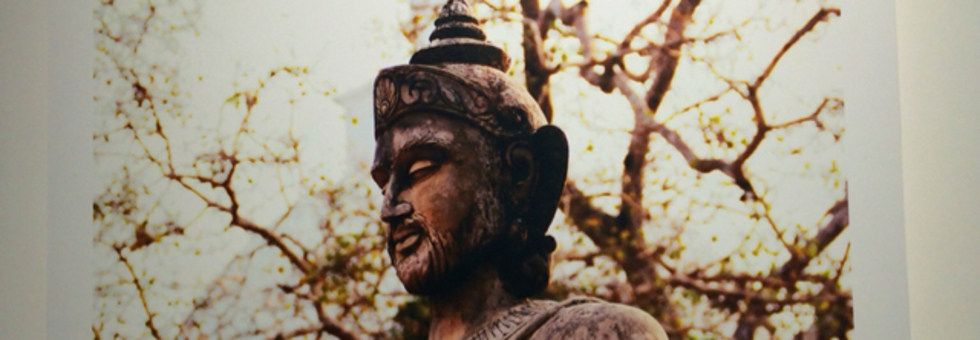 レビュアーのカバー画像