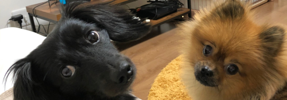 レビュアーのカバー画像