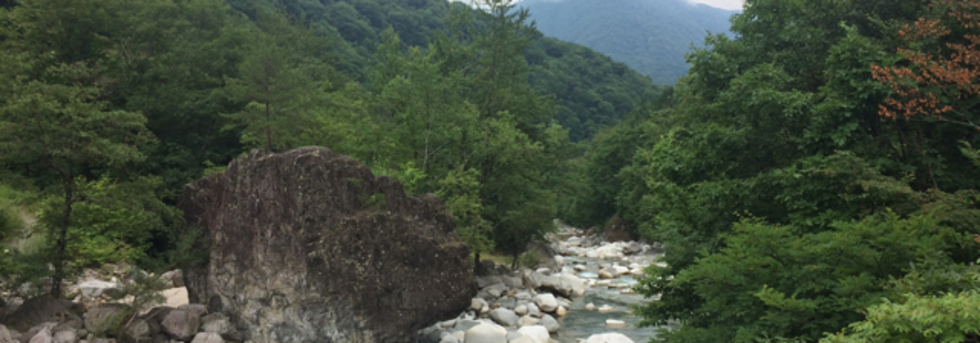 レビュアーのカバー画像