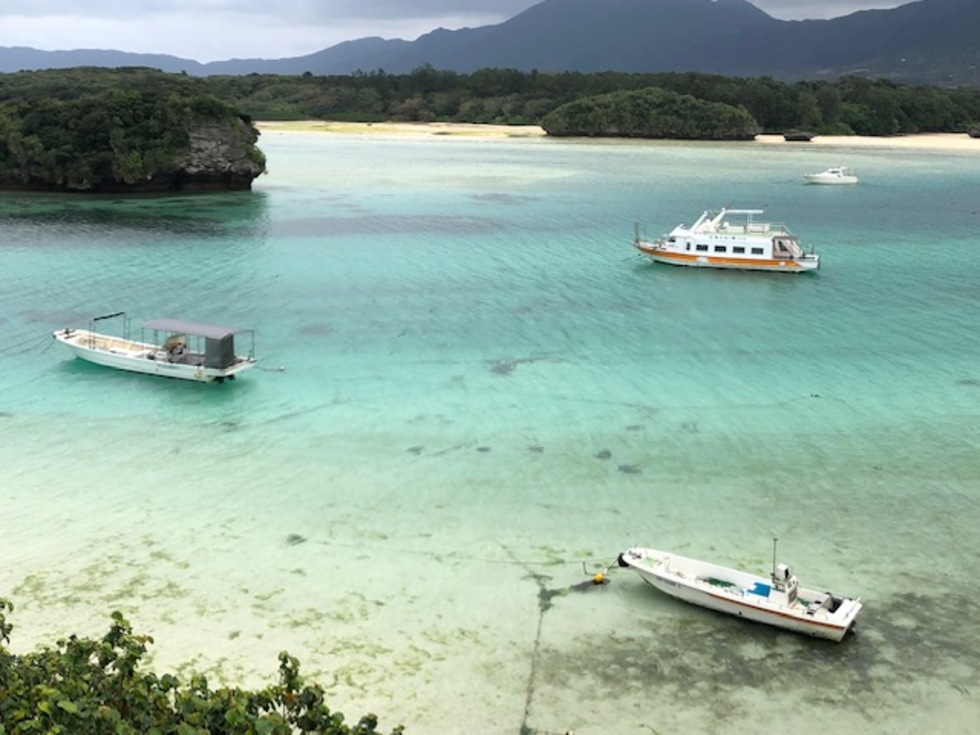 レビュアーのカバー画像