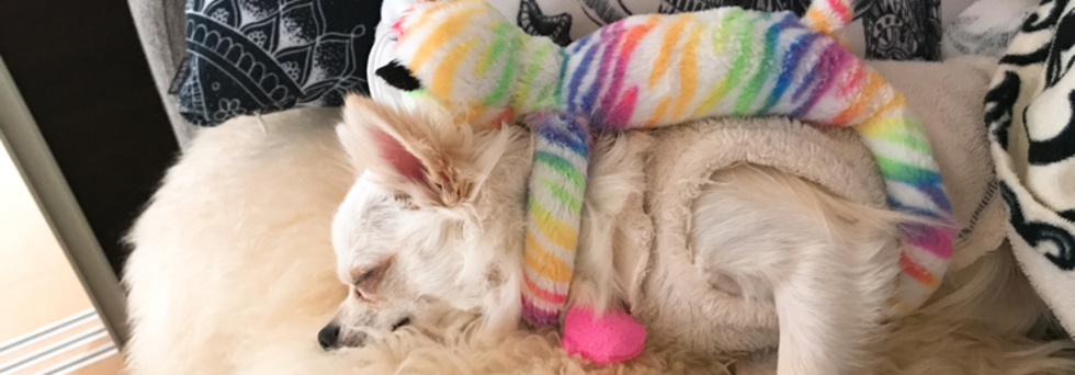 レビュアーのカバー画像