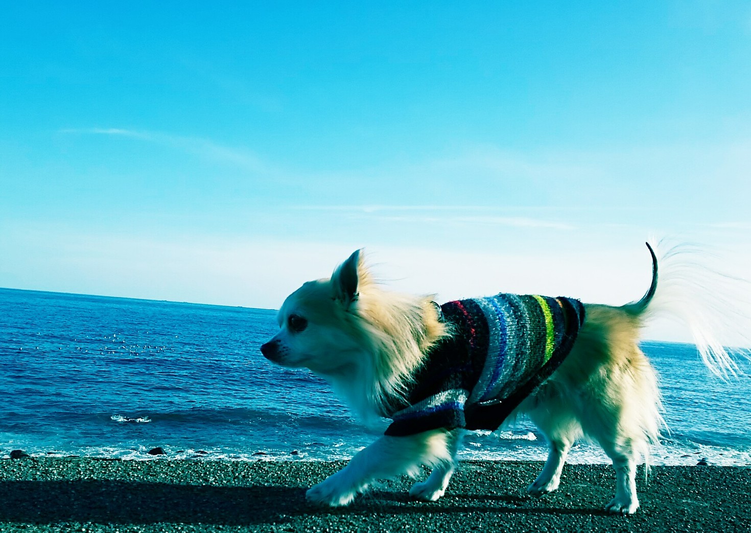 レビュアーのカバー画像