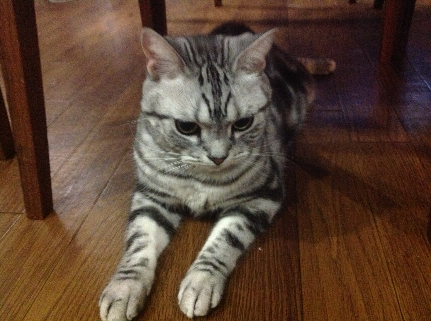 レビュアーのカバー画像