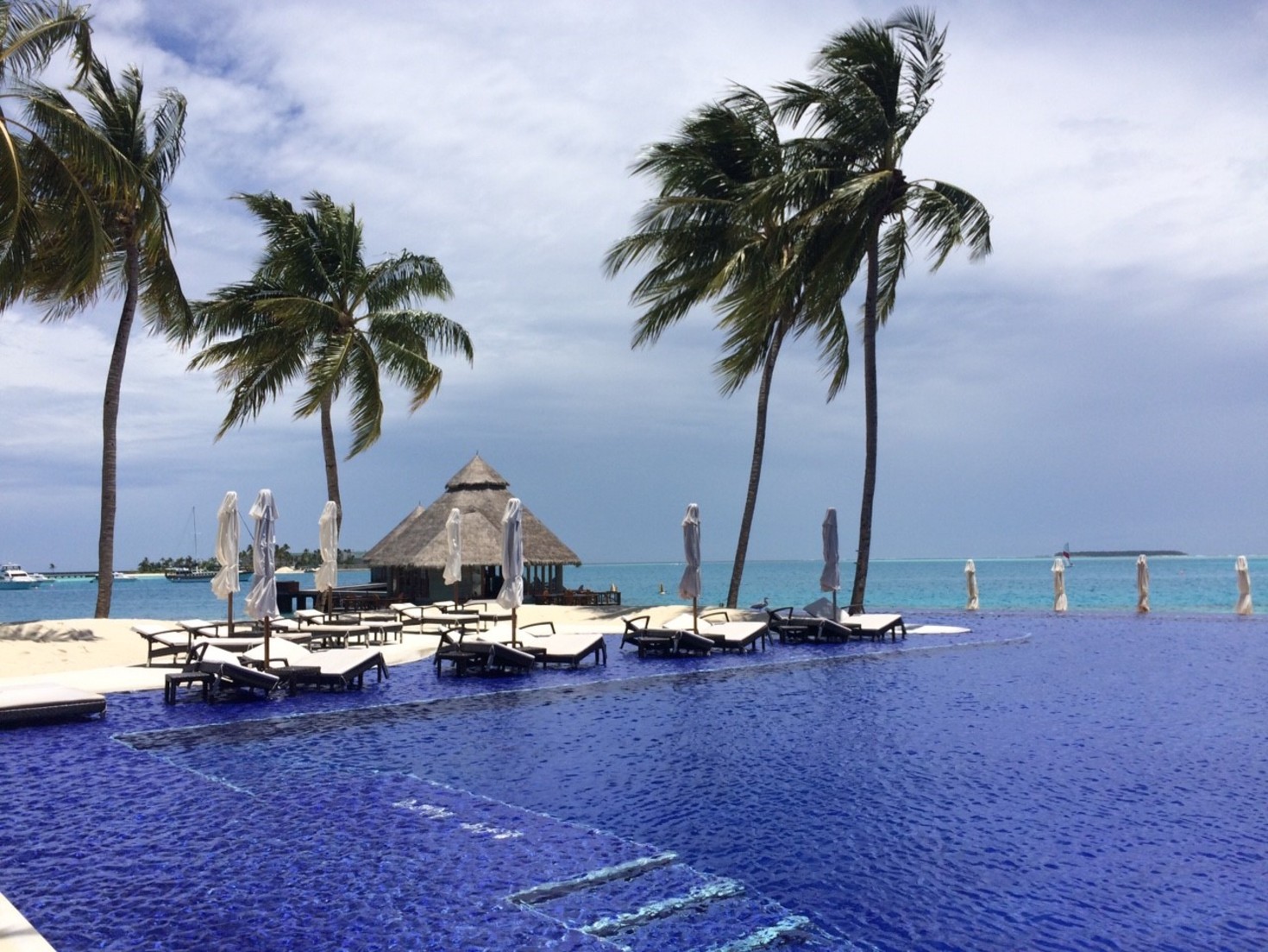 レビュアーのカバー画像