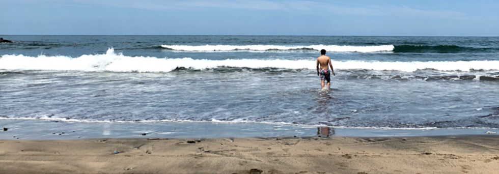 レビュアーのカバー画像