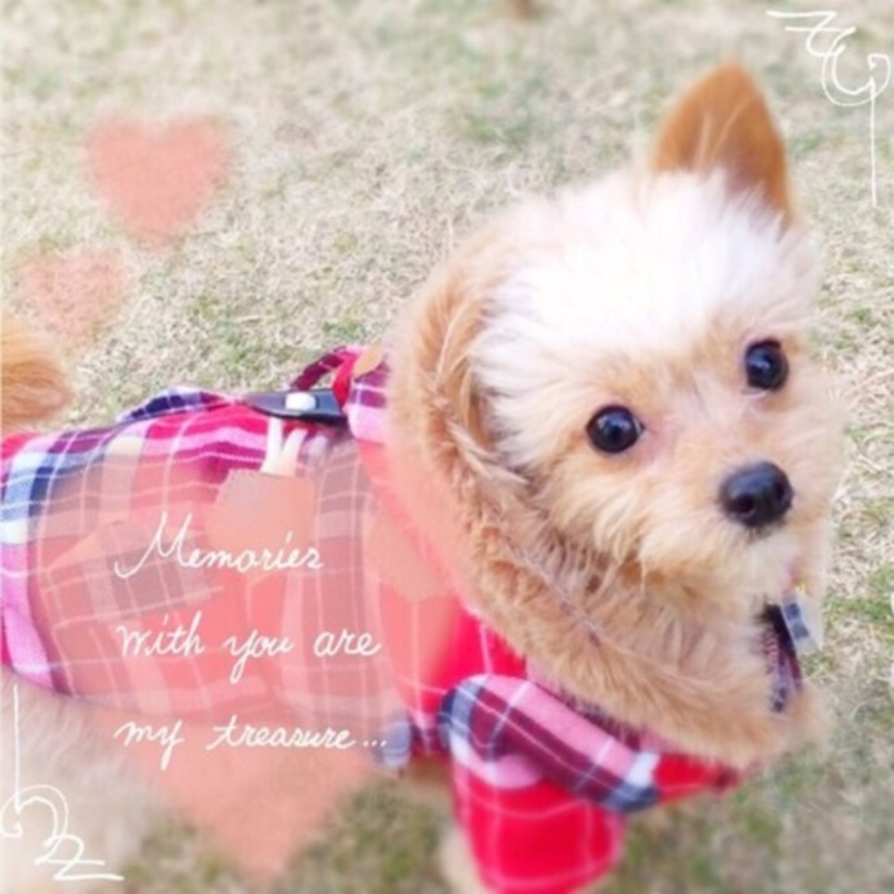 レビュアーのカバー画像