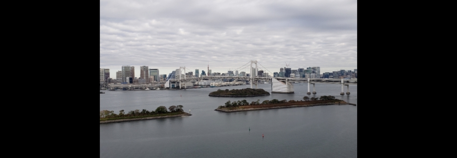 レビュアーのカバー画像