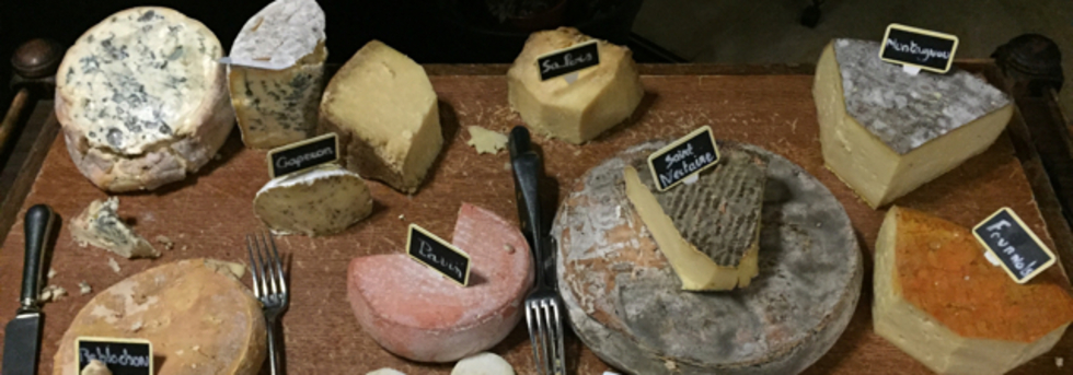 レビュアーのカバー画像