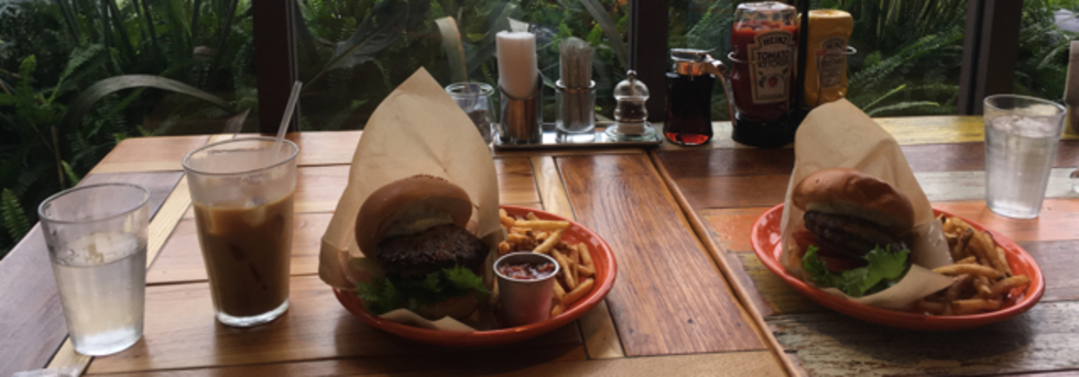 レビュアーのカバー画像