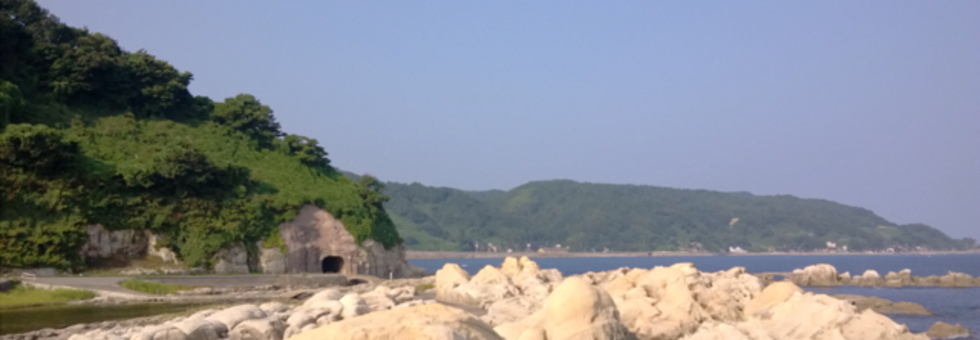 レビュアーのカバー画像