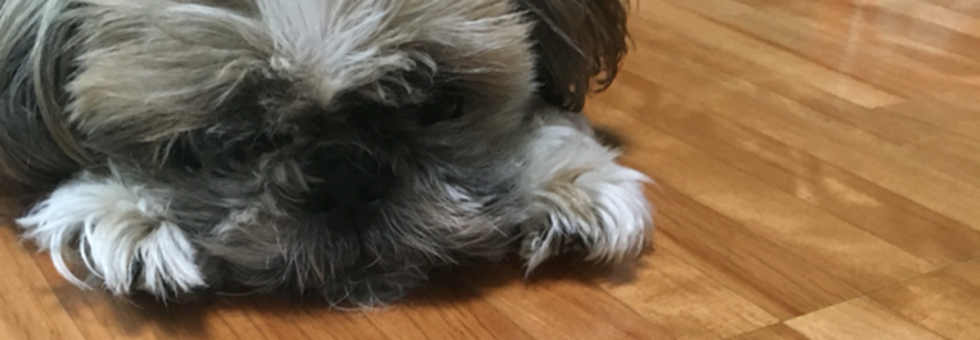 レビュアーのカバー画像