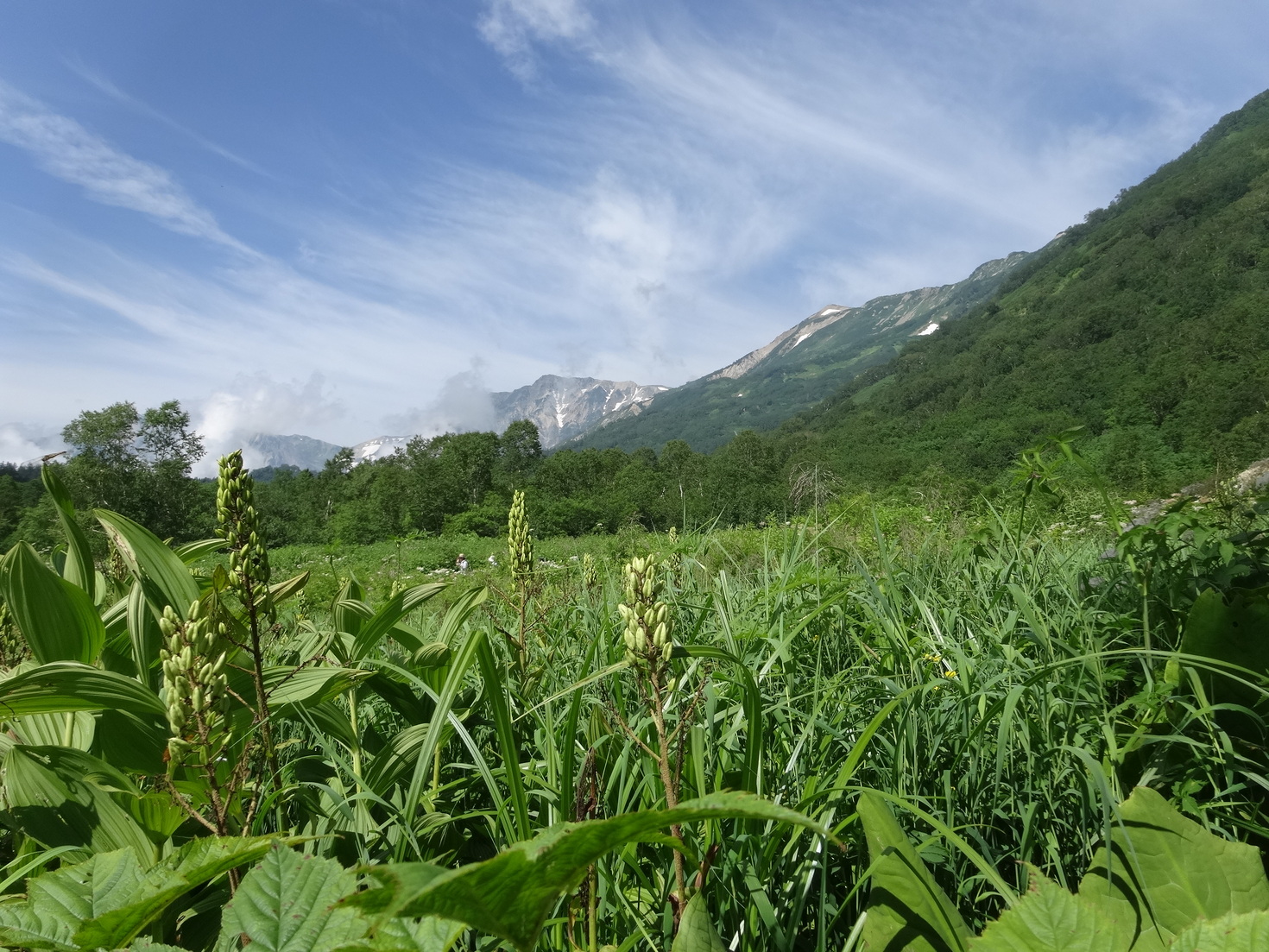 レビュアーのカバー画像