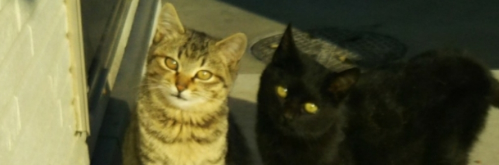 堀井茂好さんのトップページ [食べログ]