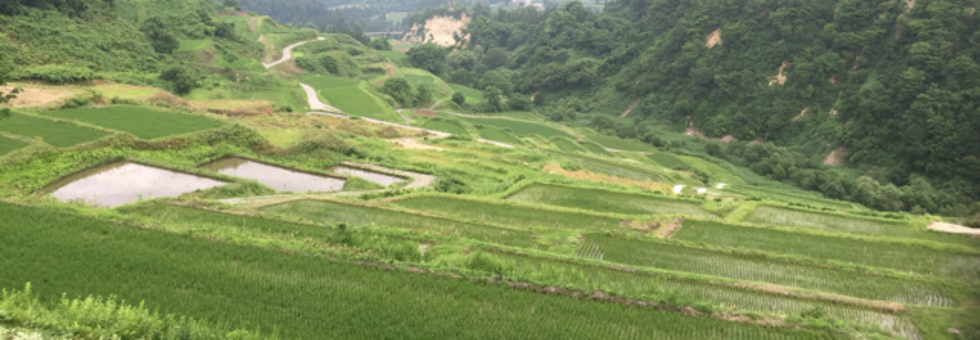 レビュアーのカバー画像