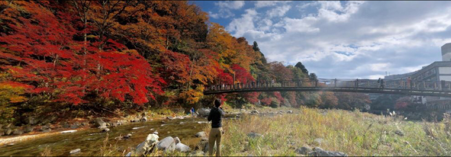 レビュアーのカバー画像