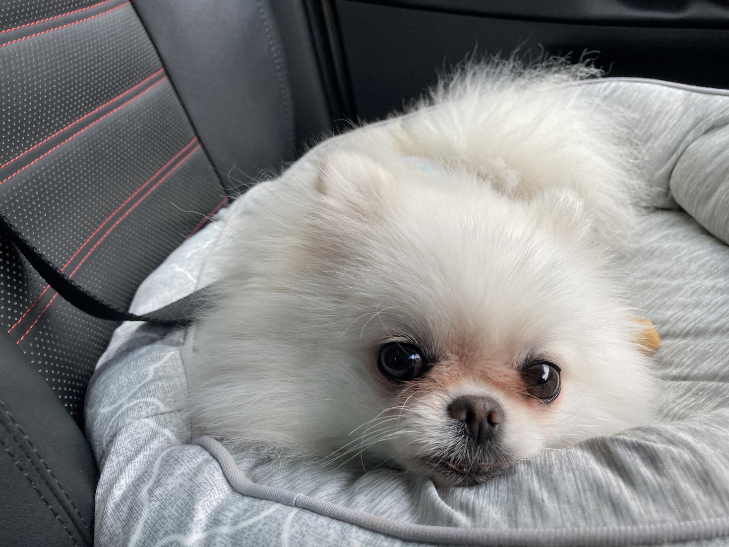 レビュアーのカバー画像