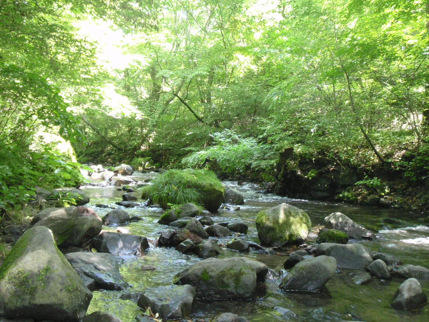 レビュアーのカバー画像