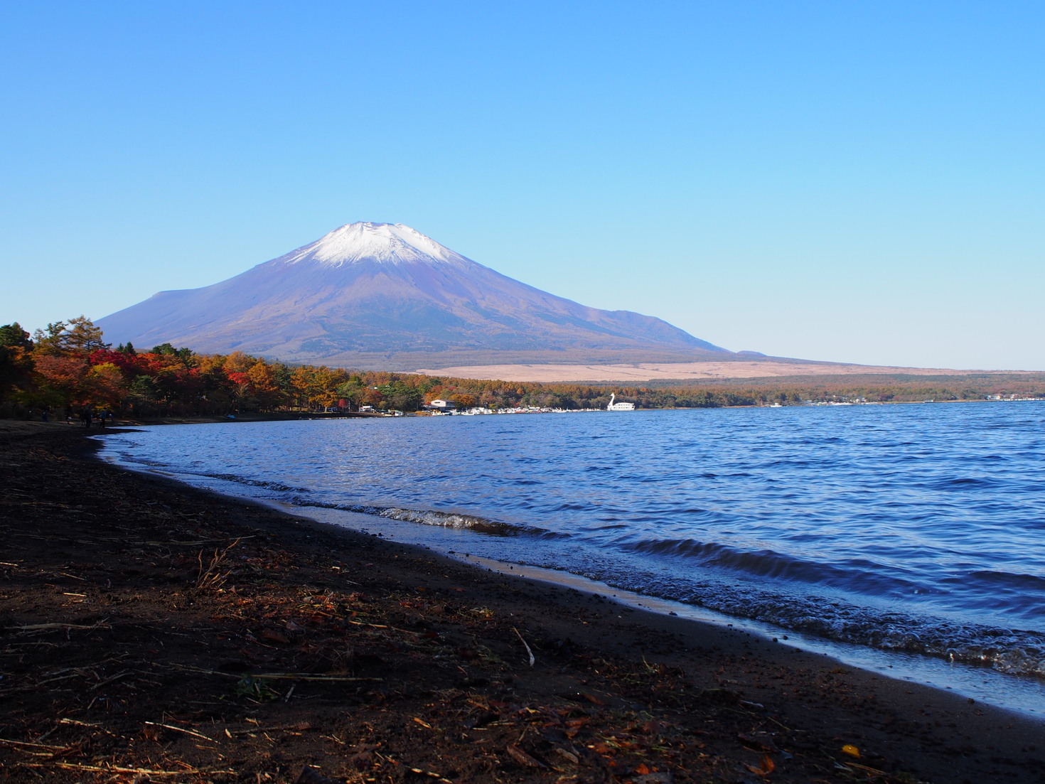 レビュアーのカバー画像