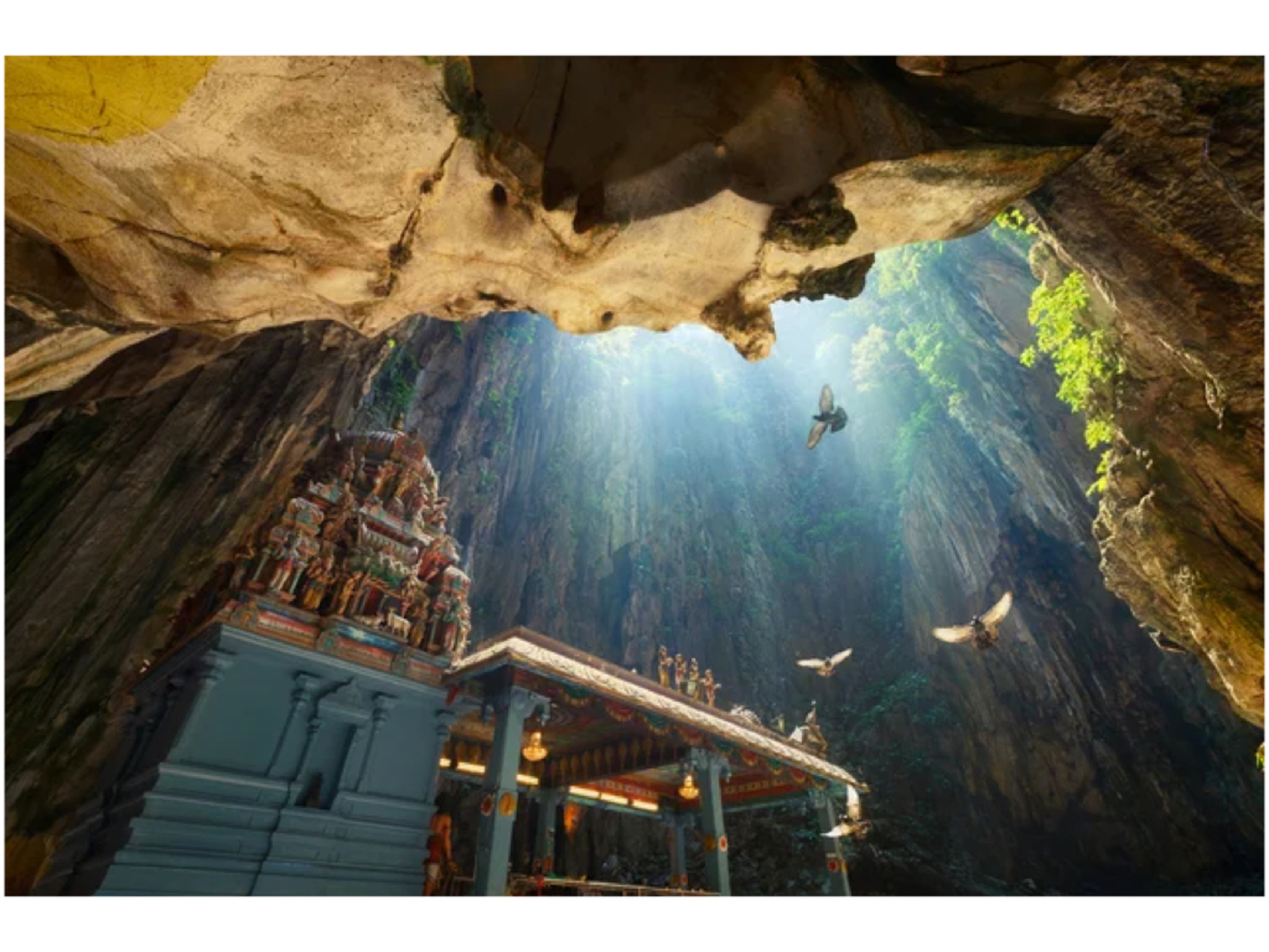 レビュアーのカバー画像