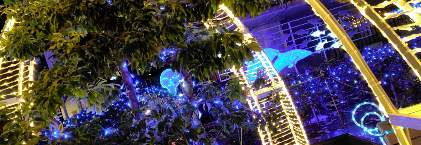 レビュアーのカバー画像