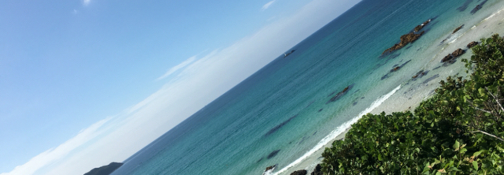 レビュアーのカバー画像