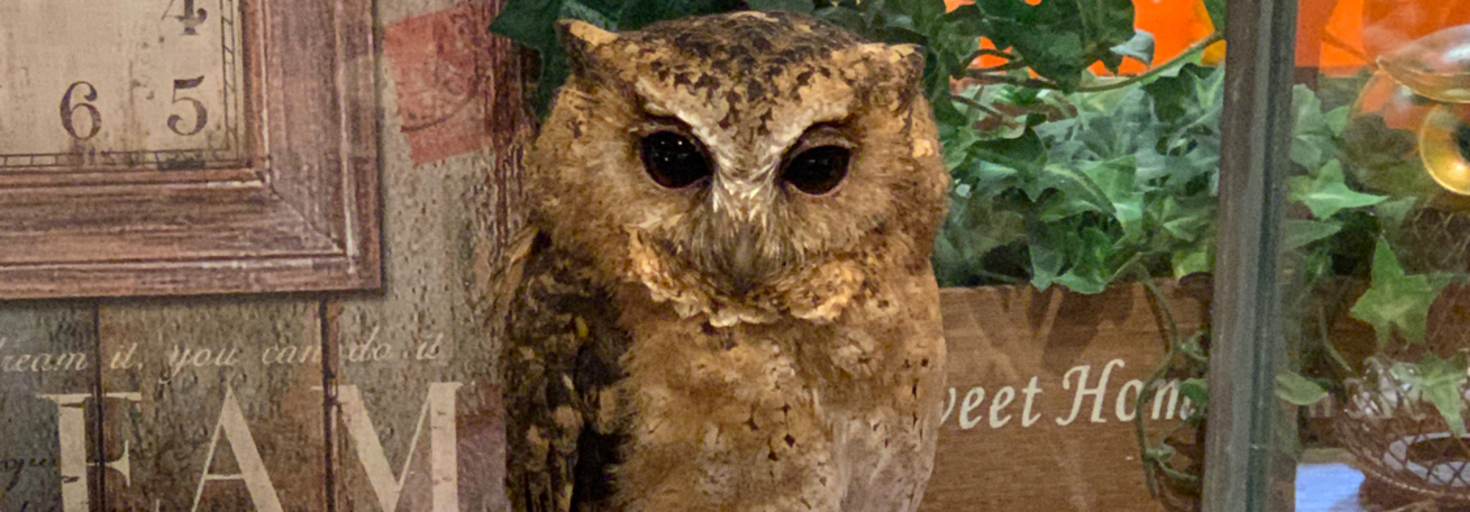 レビュアーのカバー画像