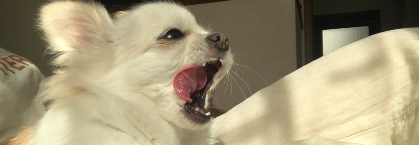 レビュアーのカバー画像