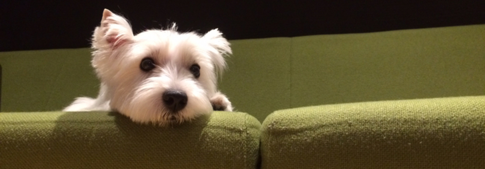 レビュアーのカバー画像