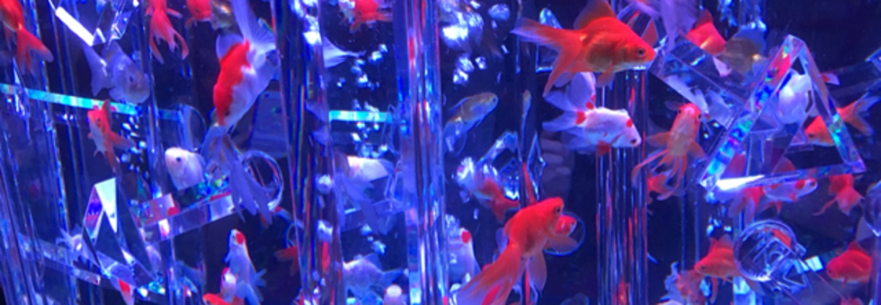 レビュアーのカバー画像