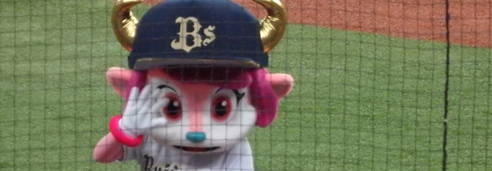 レビュアーのカバー画像