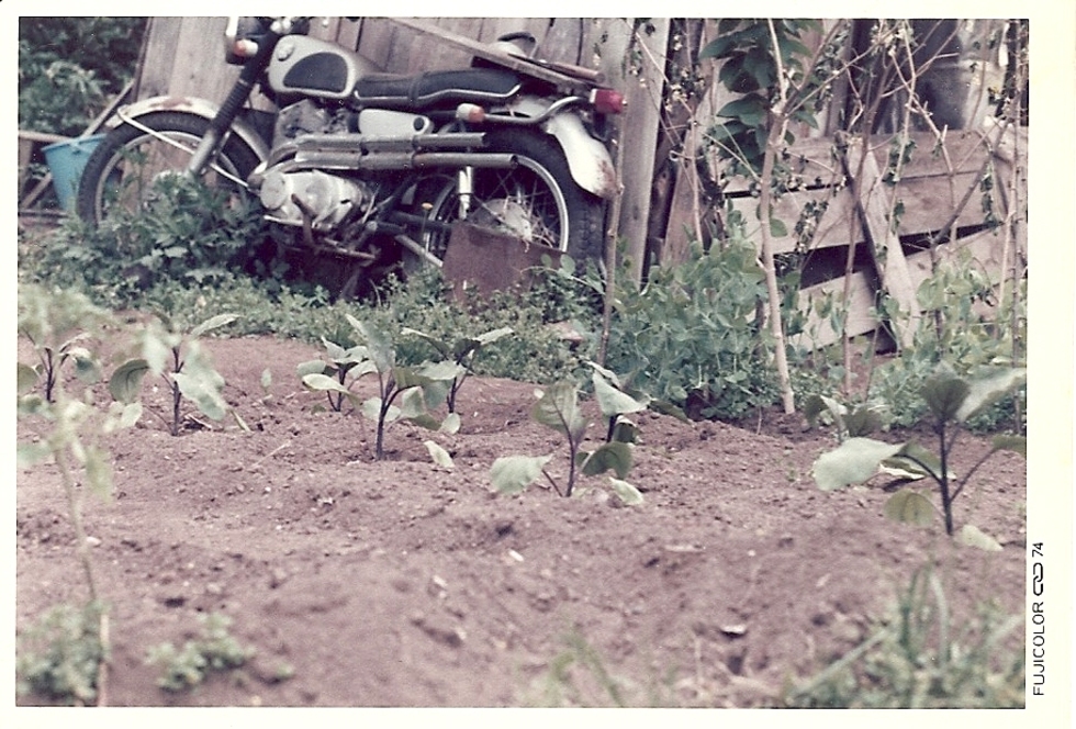 レビュアーのカバー画像