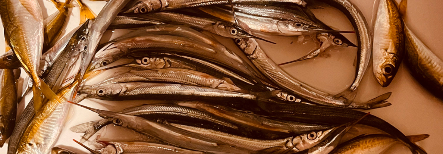 レビュアーのカバー画像