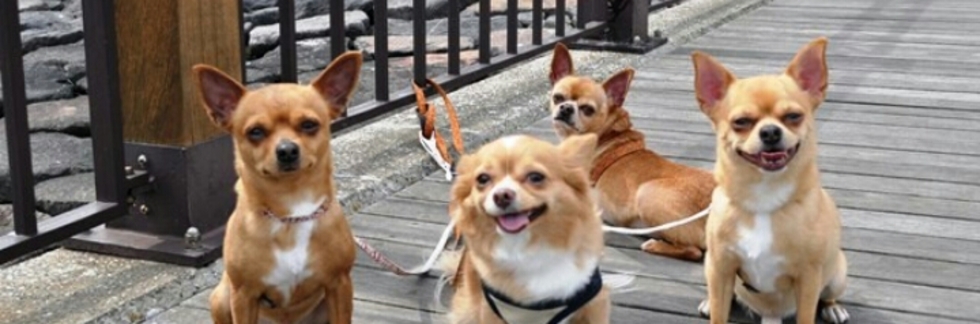 レビュアーのカバー画像