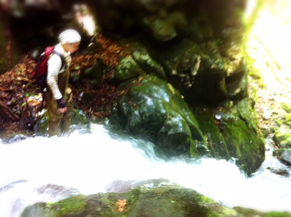 レビュアーのカバー画像