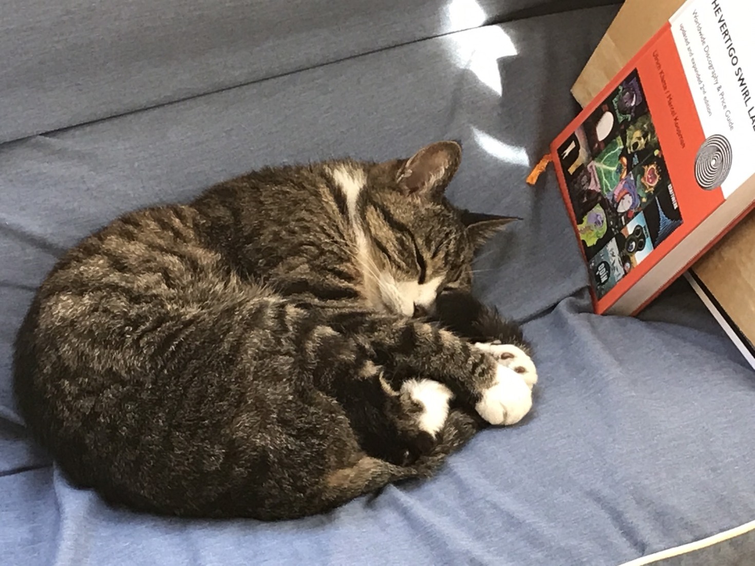 レビュアーのカバー画像