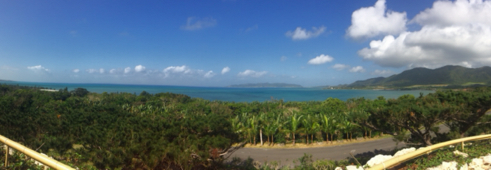 レビュアーのカバー画像