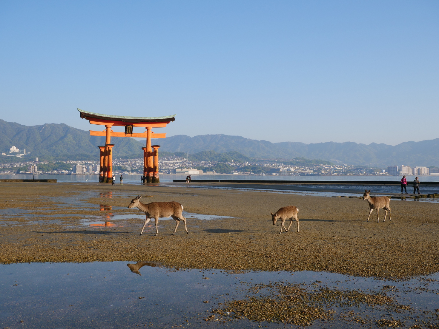 レビュアーのカバー画像