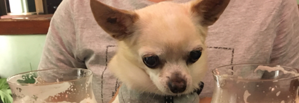 レビュアーのカバー画像